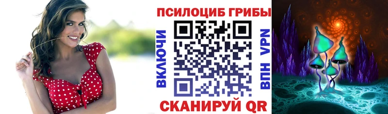 Псилоцибиновые грибы Psilocybine cubensis  shop формула  Елизаветинская  купить закладку 
